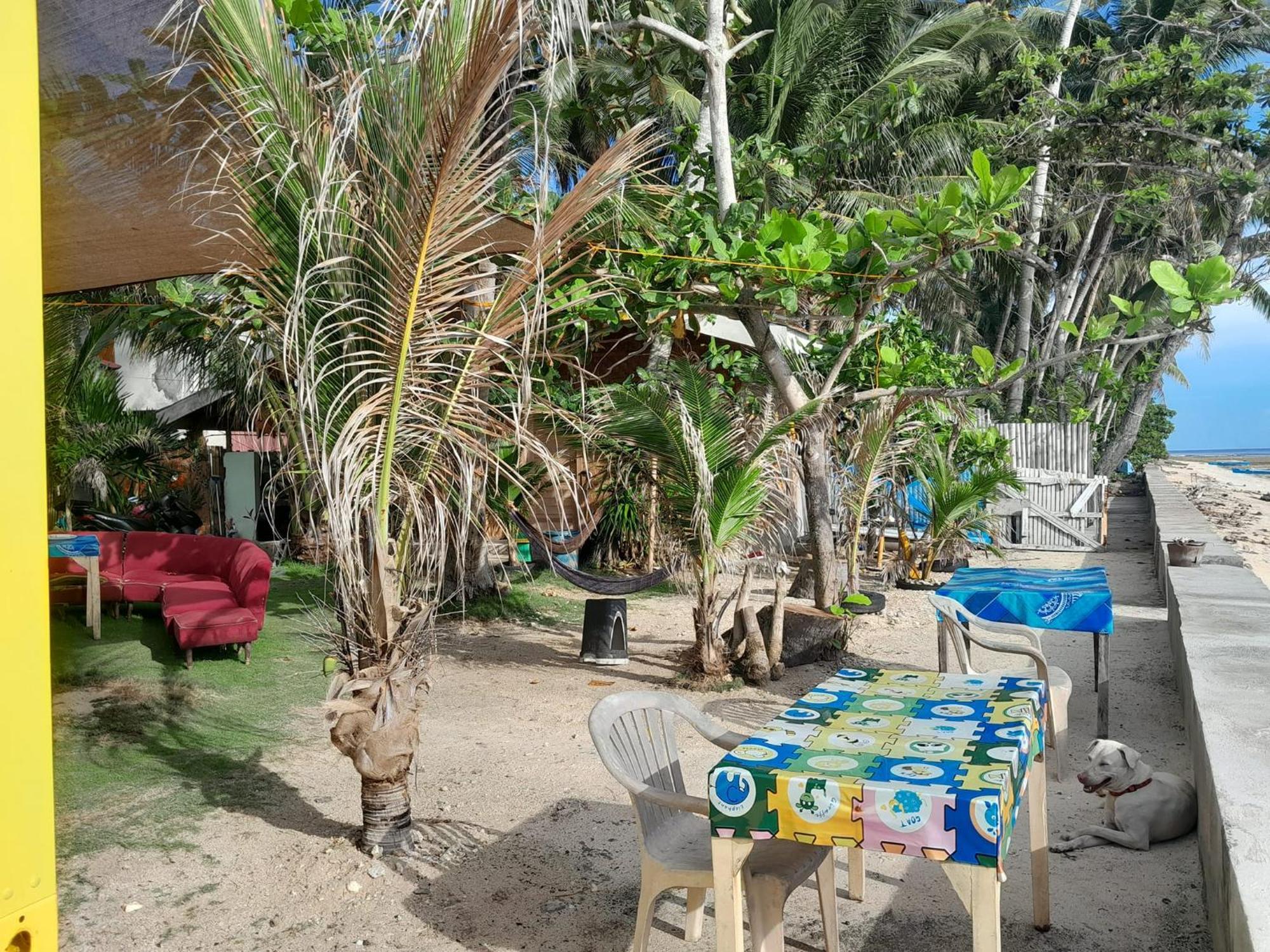 Enrico'S Guesthouse Siquijor Εξωτερικό φωτογραφία